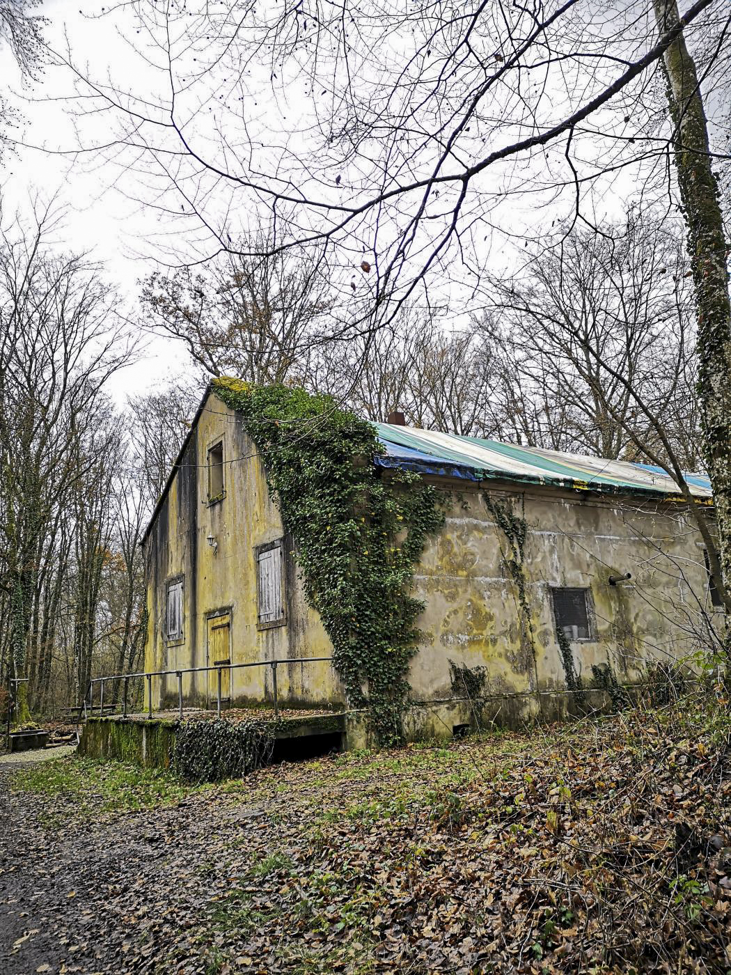 Ligne Maginot - VIRMING - (Dépôt de Munitions) - Un entrepôt de stockage est encore utilisé par un particulier