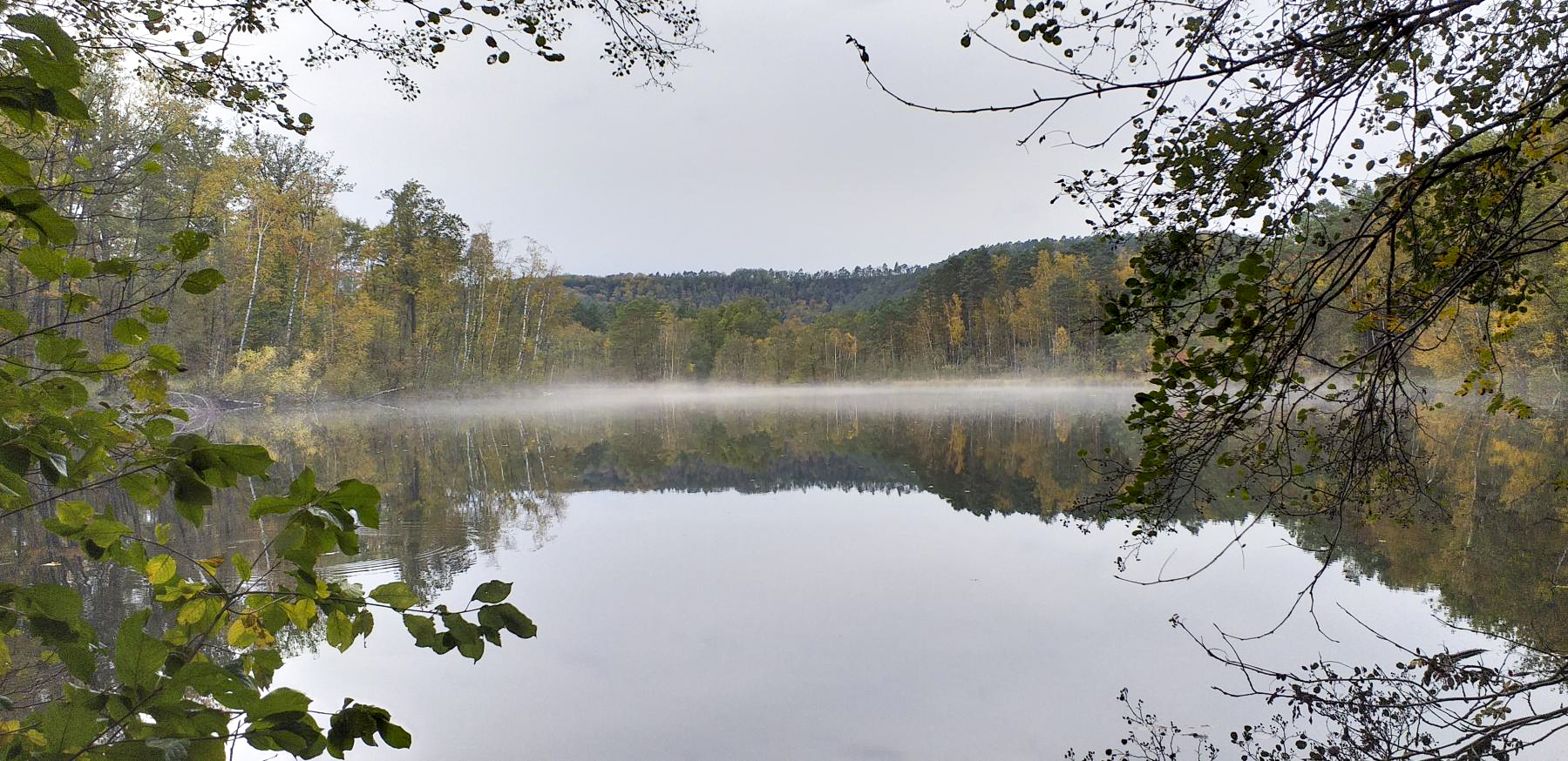 Ligne Maginot - ERBSENTHAL  - ETANG - (Inondation défensive) - 