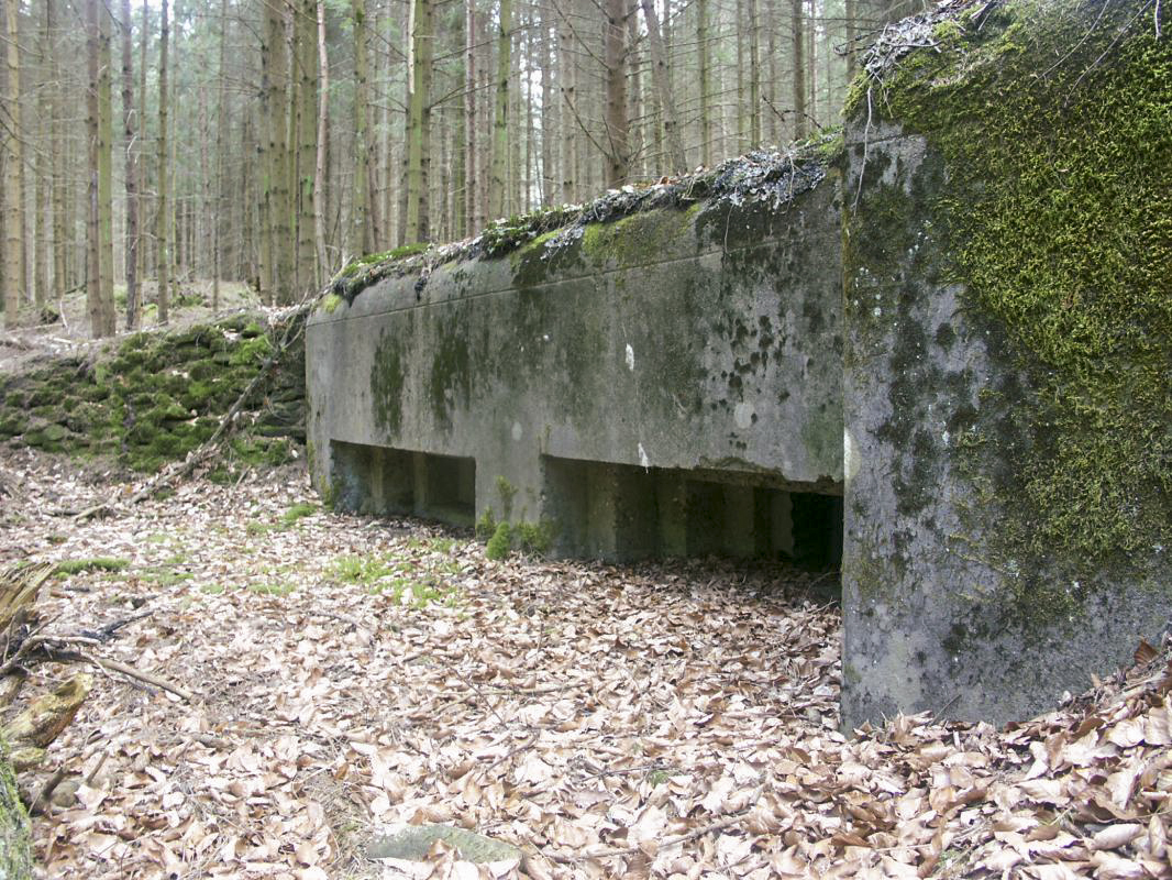 Ligne Maginot - ERBSENTHAL 1 - (Blockhaus pour arme infanterie) - Les deux créneaux pour mitrailleuses