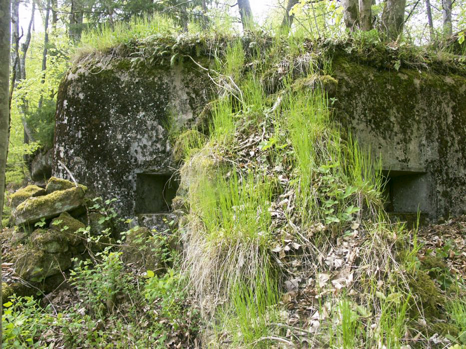 Ligne Maginot - ERLENMOOS Nord (Avant Poste) (Blockhaus pour arme infanterie) - 