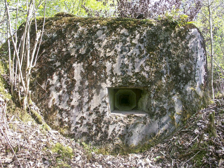 Ligne Maginot - ERLENMOOS EST (AVANT POSTE) - (Blockhaus pour arme infanterie) - Vue avant