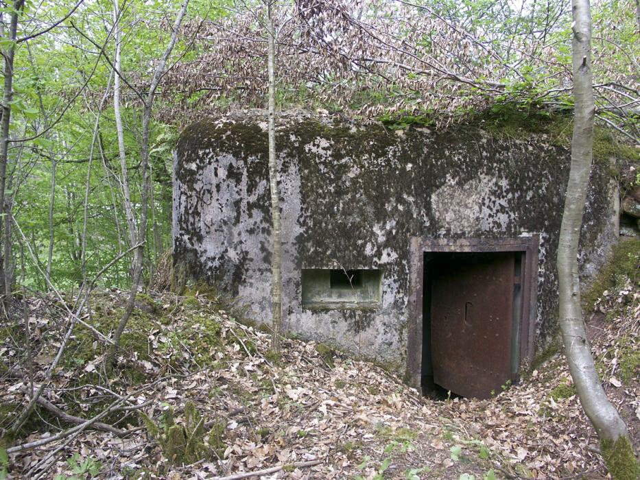 Ligne Maginot - ERLENMOOS EST (AVANT POSTE) - (Blockhaus pour arme infanterie) - L'entrée