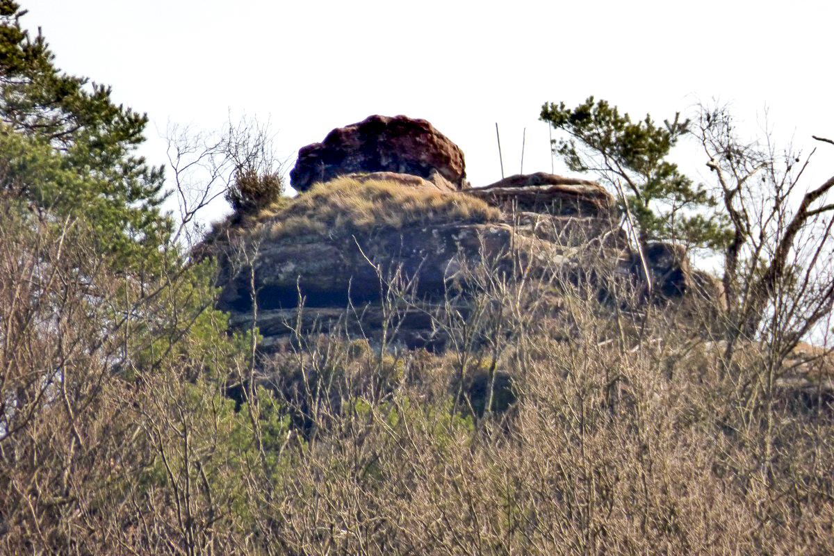 Ligne Maginot - FALKENBERG - (Observatoire d'artillerie) - Vue éloignée du rocher