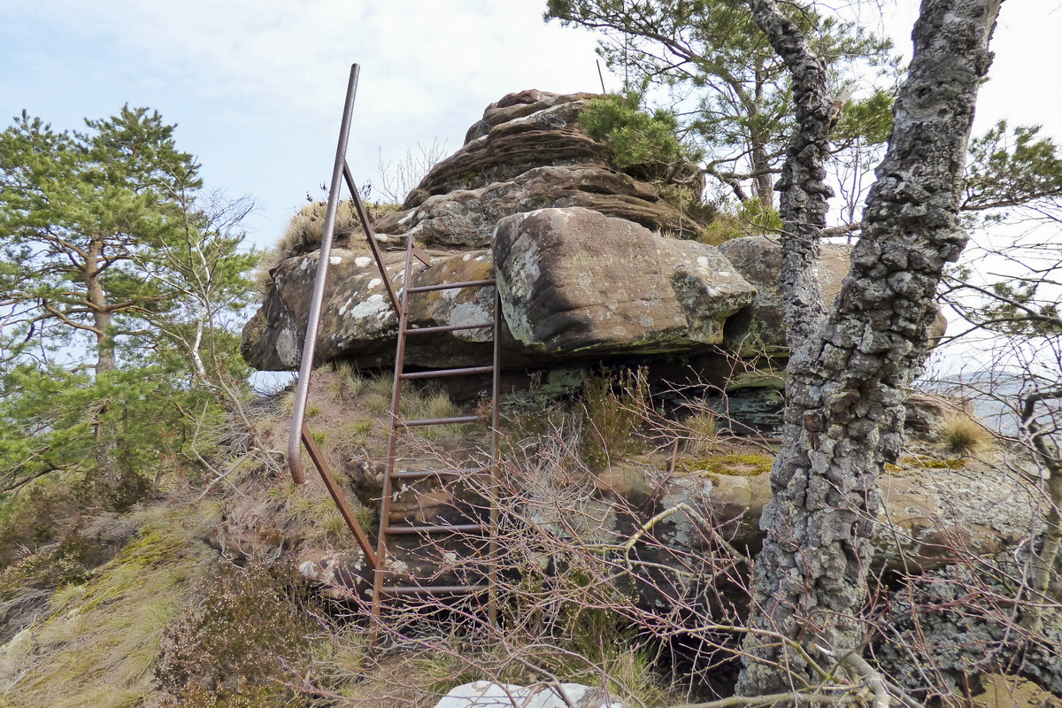 Ligne Maginot - Observatoire d'artillerie du FALKENBERG - 