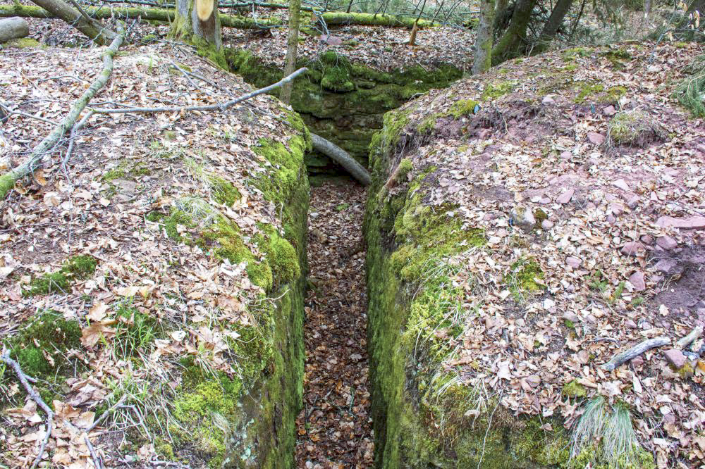 Ligne Maginot - Casemate de Glasbronn - Départ du boyau d'accès depuis la tranchée