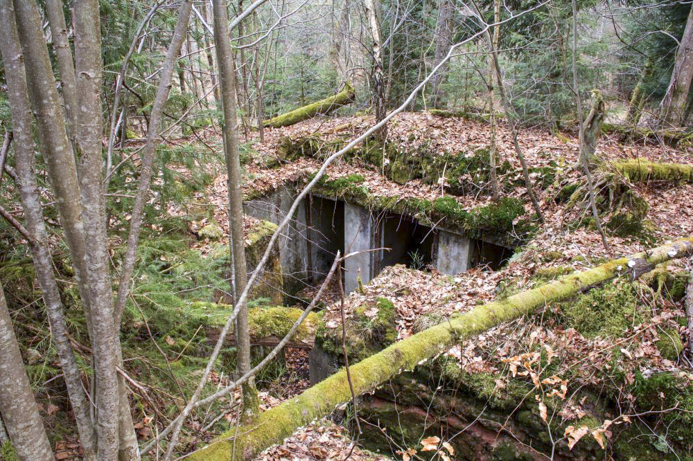 Ligne Maginot - Casemate de Glasbronn - Niches de stockage pour les barbelés et mines destinés à refermer les réseaux bas