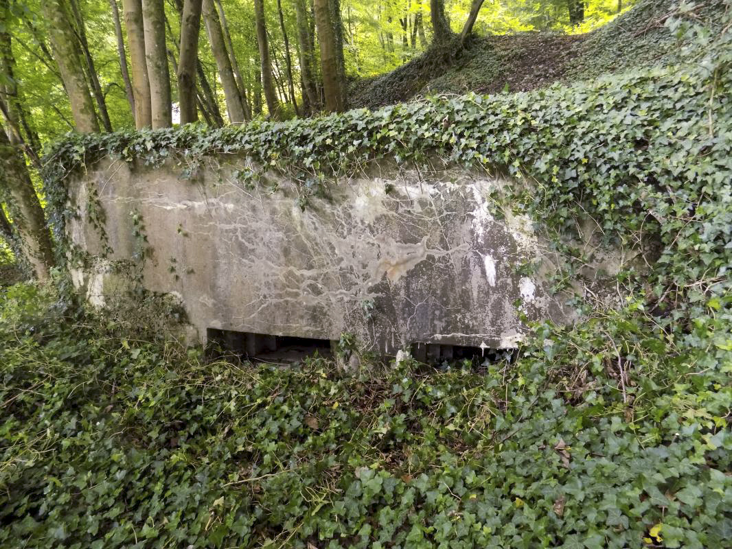 Ligne Maginot - Blockhaus Bb59-B - BOIS de l'HERMITAGE Nord - Face frontale