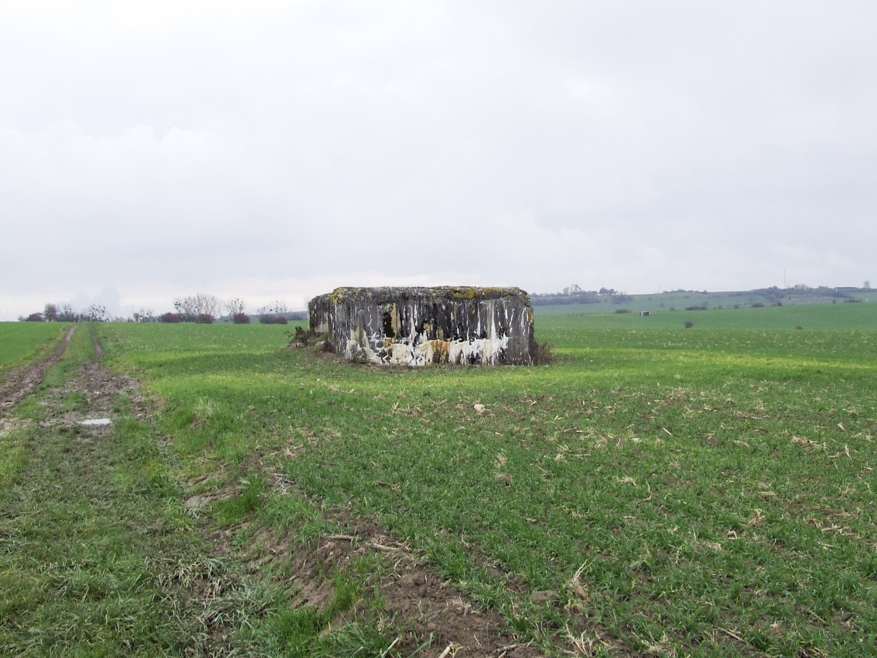 Ligne Maginot - AB2-D - ITINGERSLOCH NORD - (Blockhaus de type indéterminé) - Le blockhaus d'Iltingersloch Nord