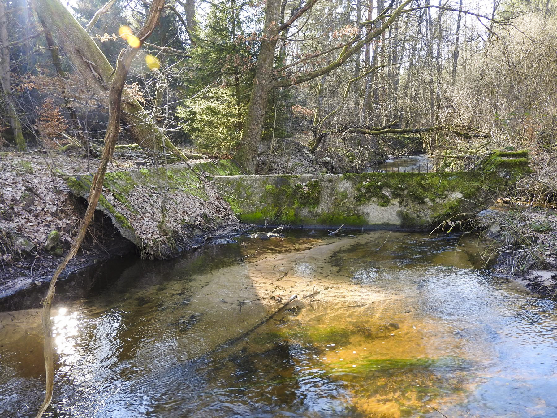 Ligne Maginot - GRAFENWEIHER Centre (Barrage 06) - (Inondation défensive) - Le seuil dans le Schwarzbach en avant de la casemate de Grafenweiher Est