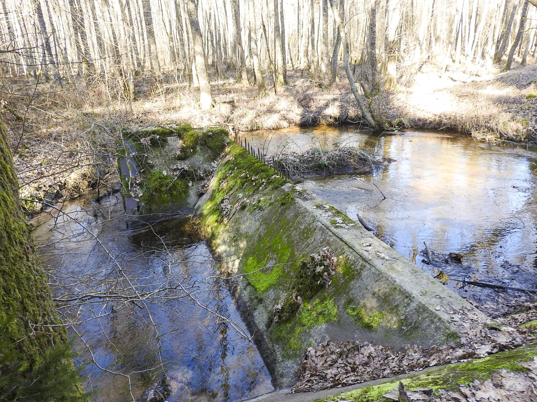 Ligne Maginot - GRAFENWEIHER Centre (Barrage 06) - (Inondation défensive) - Le seuil dans le Schwarzbach en avant de la casemate de Grafenweiher Est