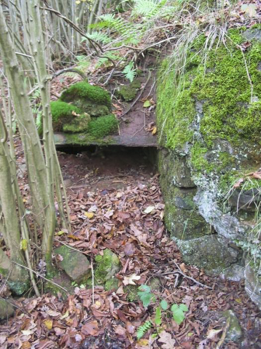 Ligne Maginot - HEILLINGEN DELL - (Blockhaus pour arme infanterie) - Entrée du blockhaus
