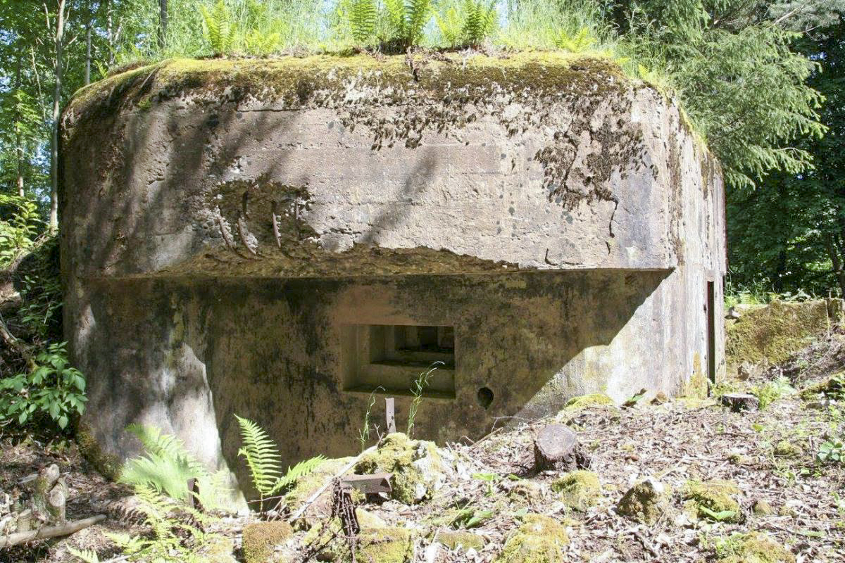 Ligne Maginot - LANGENACKER CENTRE - (Blockhaus pour arme infanterie) - 