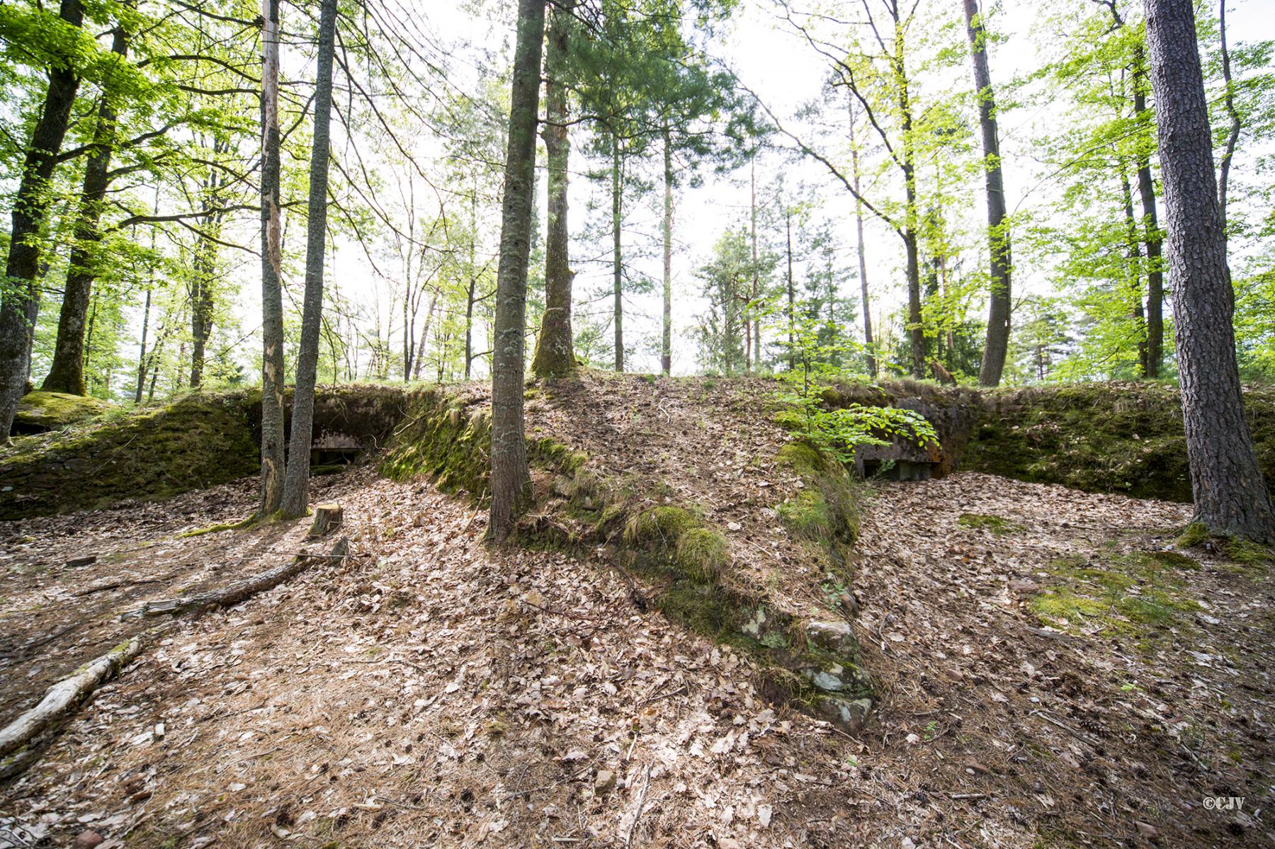 Ligne Maginot - MAIN du PRINCE 2 (Blockhaus pour arme infanterie) - Les deux blockhaus pour mitrailleuse avec leurs talus de protection en pierres sèches 