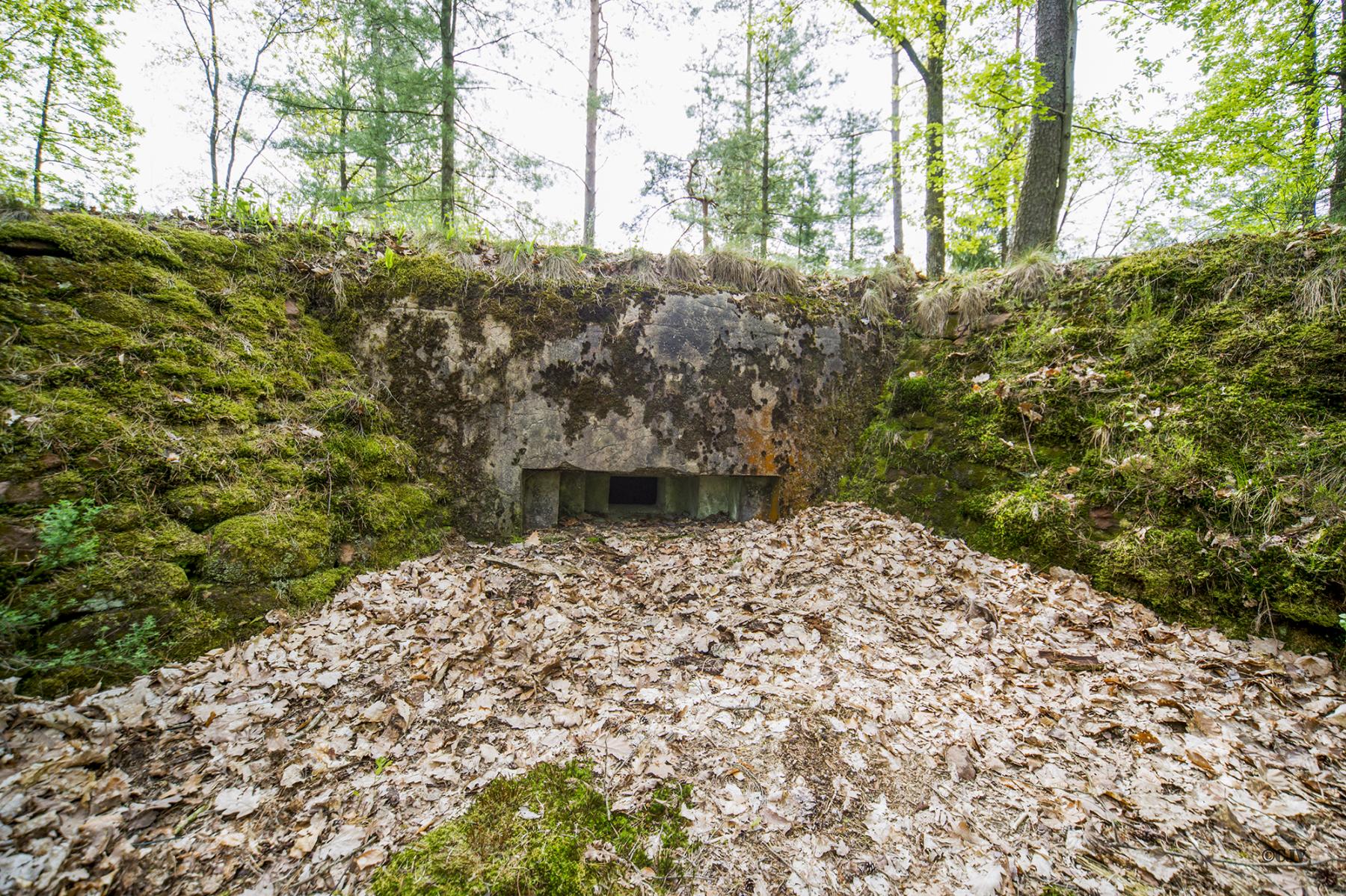 Ligne Maginot - MAIN du PRINCE 2 (Blockhaus pour arme infanterie) - Blockhaus mitrailleuse de gauche