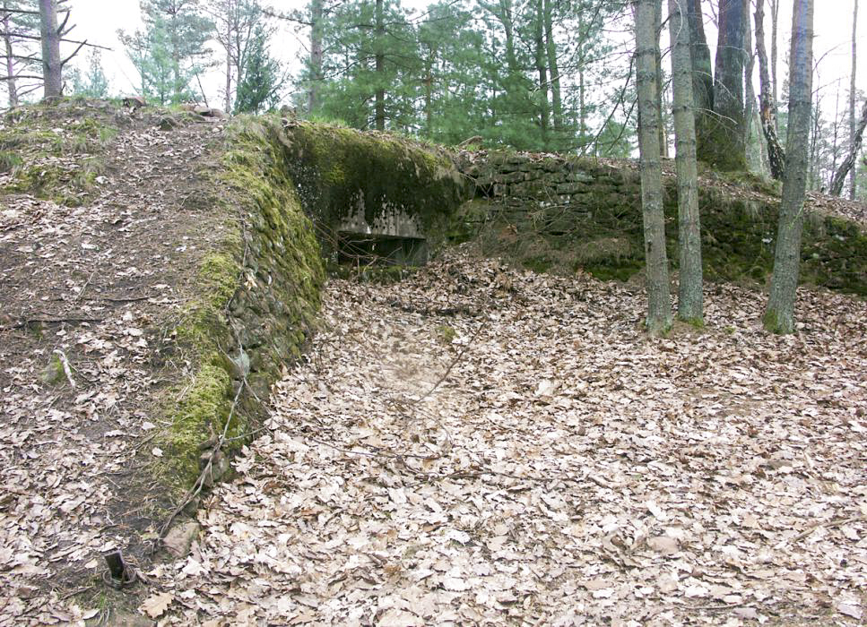 Ligne Maginot - MAIN du PRINCE 2 (Blockhaus pour arme infanterie) - Blockhaus mitrailleuse de droite
Vestige du treillage de fixation du camouflage