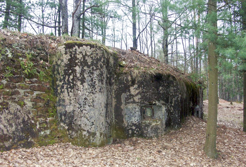 Ligne Maginot - MAIN du PRINCE 2 (Blockhaus pour arme infanterie) - Vue d'ensemble de la façade depuis la gauche