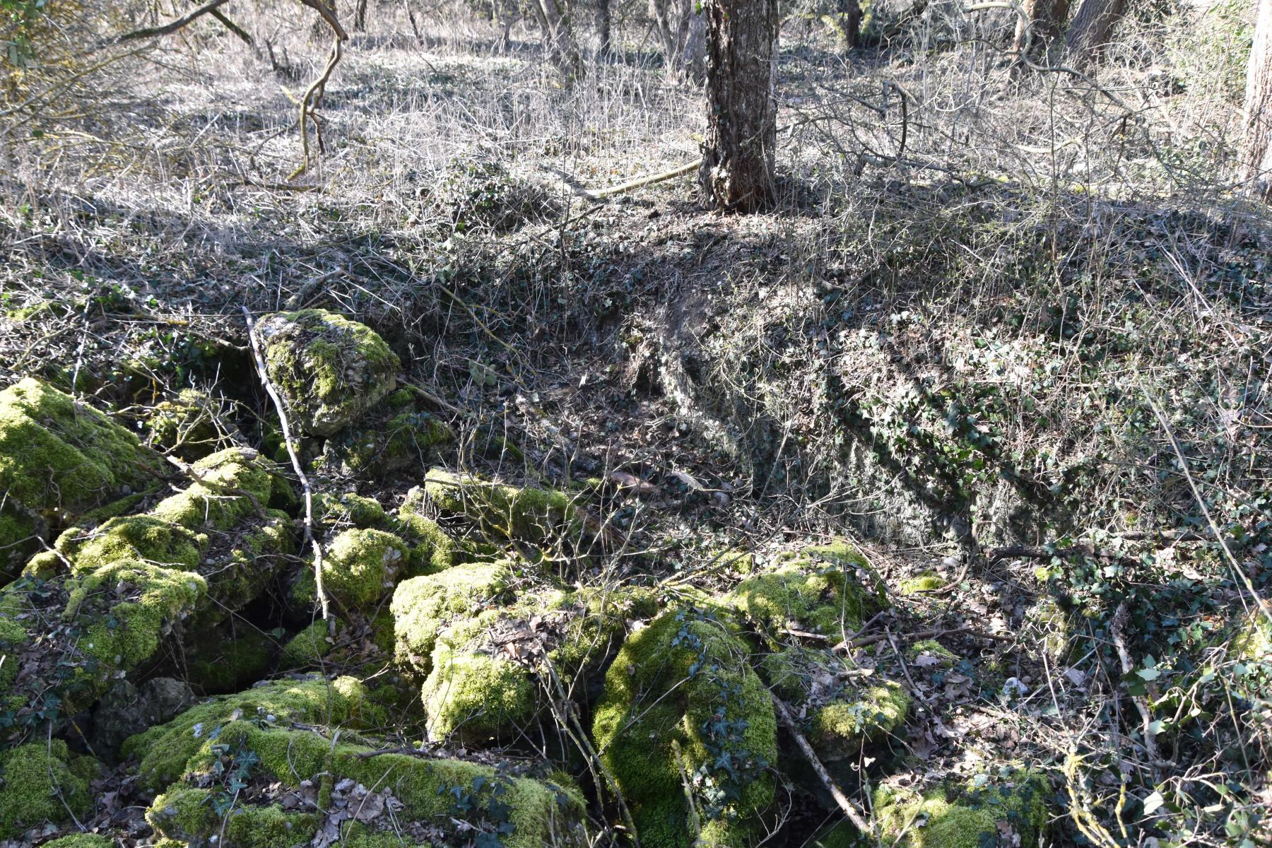 Ligne Maginot - BLODELSHEIM OUEST 2 - (Blockhaus de type indéterminé) - Restes de l'abri, avec l'entrée entre les débris et l'arbre.