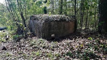 Ligne Maginot - FM32 - NONNENHARDT MAISON FORESTIERE 1 - (Blockhaus pour arme infanterie) - Créneau frontal