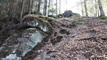 Ligne Maginot - FM35 - NONNENHARDT OUEST 1 - (Blockhaus pour arme infanterie) - Le bloc habilement dissimulé parmi les rochers
