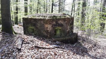 Ligne Maginot - FM33 - NONNENHARDT CENTRE 3 - (Blockhaus pour arme infanterie) - Vue coté droit