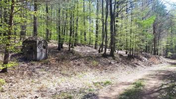 Ligne Maginot - FM45 - NONNENHARDT CENTRE 2 - (Blockhaus pour arme infanterie) - Le blockhaus à l'intersection d'un layon et d'un chemin forestier