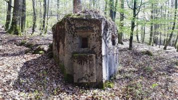 Ligne Maginot - FM45 - NONNENHARDT CENTRE 2 - (Blockhaus pour arme infanterie) - Vue de face