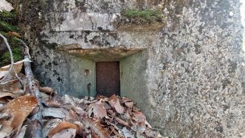 Ligne Maginot - FM78 - BETZENTHAL 5 - (Blockhaus pour arme infanterie) - Détail du créneau frontal 