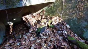 Ligne Maginot - NONNENHARDT - (Casernement) - Fosse des latrines
Vestige de la fosse chimique ASEPTA