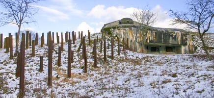 Ligne Maginot - FOUR A CHAUX - FAC - (Ouvrage d'artillerie) - Bloc 6
Réseau de rails antichar