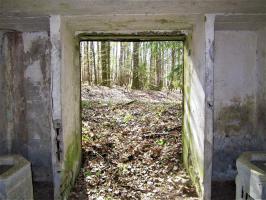 Ligne Maginot - C8 - NONNENHARDT MAISON FORESTIERE 2 - (Blockhaus pour canon) - L'entrée