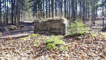 Ligne Maginot - FM38 - DIEBSKOPF 2 - (Blockhaus pour arme infanterie) - Vue coté gauche