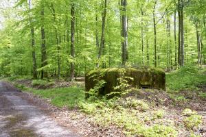 Ligne Maginot - FM31 - NONNENHARDT CENTRE 4 - (Blockhaus pour arme infanterie) - Créneau frontal et latéral gauche