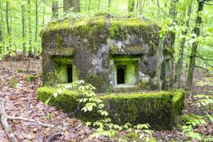 Ligne Maginot - FM33 - NONNENHARDT CENTRE 3 - (Blockhaus pour arme infanterie) - Vue frontal