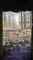 Ligne Maginot - FM31 - NONNENHARDT CENTRE 4 - (Blockhaus pour arme infanterie) - Vue depuis le créneau latéral droit