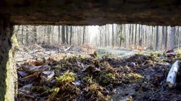 Ligne Maginot - FM31 - NONNENHARDT CENTRE 4 - (Blockhaus pour arme infanterie) - Vue depuis le créneau latéral gauche