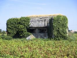 Ligne Maginot - A2 - HONDSCHOOTE (Blockhaus pour canon) - 