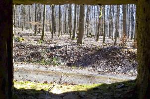 Ligne Maginot - FM46 - NONNENHARDT CENTRE 5 - (Blockhaus pour arme infanterie) - Vue depuis le créneau frontal