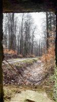 Ligne Maginot - FM46 - NONNENHARDT CENTRE 5 - (Blockhaus pour arme infanterie) - Vue depuis le créneau latéral droit