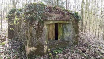 Ligne Maginot - C8 - NONNENHARDT MAISON FORESTIERE 2 - (Blockhaus pour canon) - Façade frontal avec créneau antichar