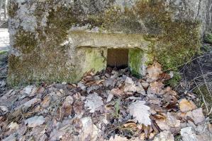 Ligne Maginot - FM38 - DIEBSKOPF 2 - (Blockhaus pour arme infanterie) - Détail du créneau latéral gauche