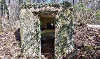 Ligne Maginot - FM32 - NONNENHARDT MAISON FORESTIERE 1 - (Blockhaus pour arme infanterie) - L'entrée