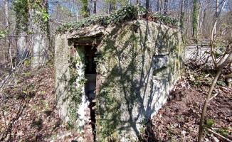 Ligne Maginot - FM32 - NONNENHARDT MAISON FORESTIERE 1 - (Blockhaus pour arme infanterie) - L'entrée et le créneau arrière droit