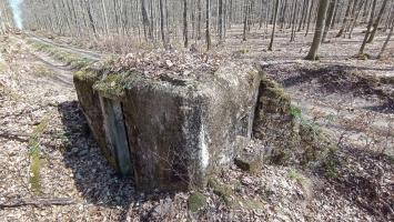 Ligne Maginot - FM46 - NONNENHARDT CENTRE 5 - (Blockhaus pour arme infanterie) - Le blockhaus bordant un chemin forestier