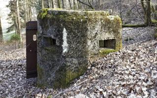 Ligne Maginot - FM76 - GUNSTHAL 1 - (Blockhaus pour arme infanterie) - Vue de face