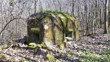 Ligne Maginot - FM9 - HIRTENMATT 1 - (Blockhaus pour arme infanterie) - Créneau frontal et latéral gauche