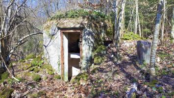 Ligne Maginot - FM10 - HIRTENMATT 2 - (Blockhaus pour arme infanterie) - Entrée