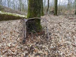 Ligne Maginot - NONNENHARDT N°2 - (Blockhaus pour arme infanterie) - Un portillon du réseau barbelés