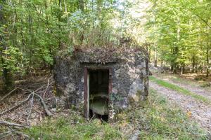 Ligne Maginot - VOEGELSMATT 1 - (Blockhaus pour arme infanterie) - 