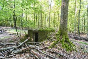 Ligne Maginot - FM26 - VOEGELSMATT 4 - (Blockhaus pour arme infanterie) - 