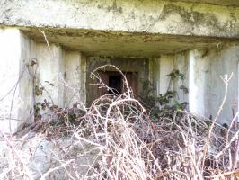 Ligne Maginot - A5 - PONT DE WATOU - (Blockhaus pour canon) - 